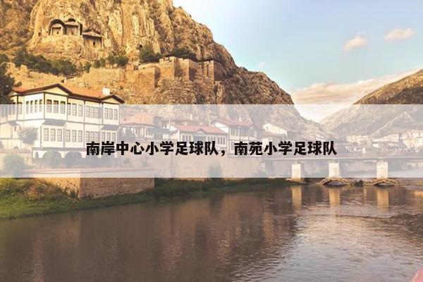 南岸中心小学足球队，南苑小学足球队