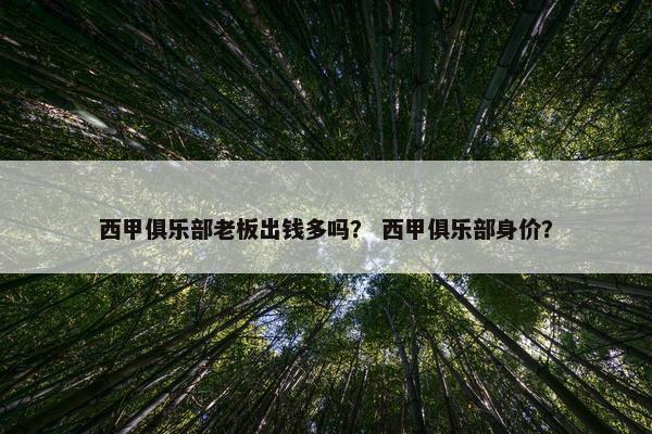 西甲俱乐部老板出钱多吗？ 西甲俱乐部身价？