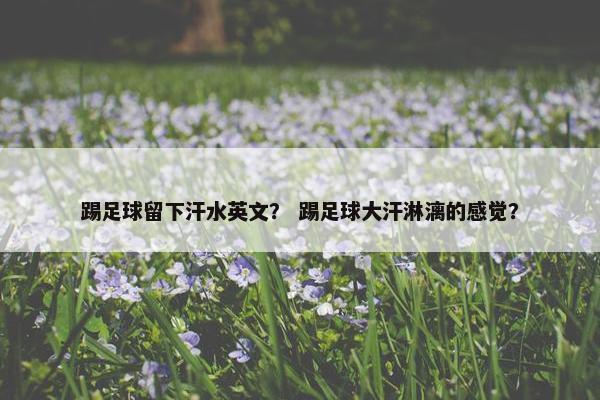 踢足球留下汗水英文？ 踢足球大汗淋漓的感觉？