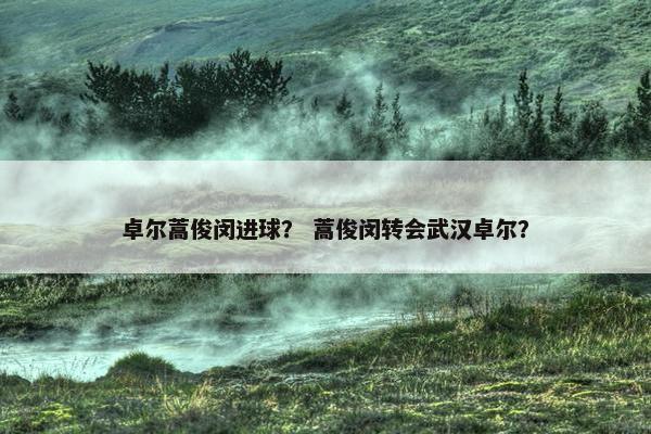 卓尔蒿俊闵进球？ 蒿俊闵转会武汉卓尔？