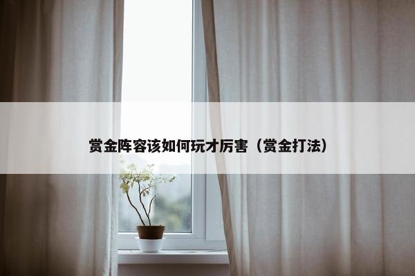赏金阵容该如何玩才厉害（赏金打法）
