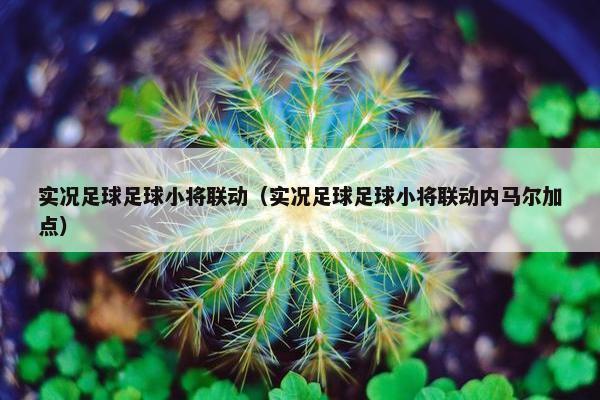 实况足球足球小将联动（实况足球足球小将联动内马尔加点）