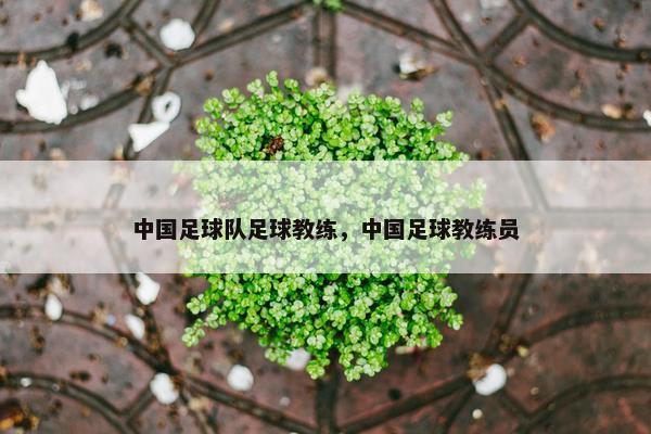 中国足球队足球教练，中国足球教练员