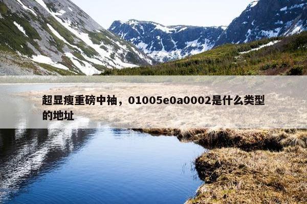 超显瘦重磅中袖，01005e0a0002是什么类型的地址