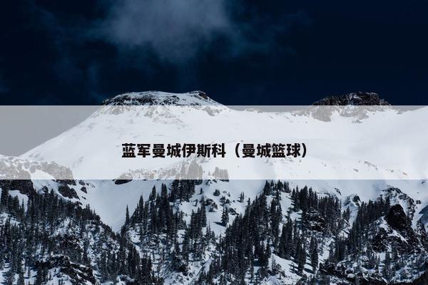 蓝军曼城伊斯科（曼城篮球）