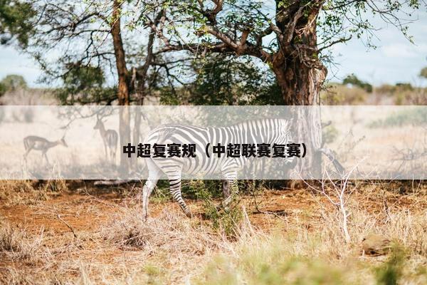 中超复赛规（中超联赛复赛）