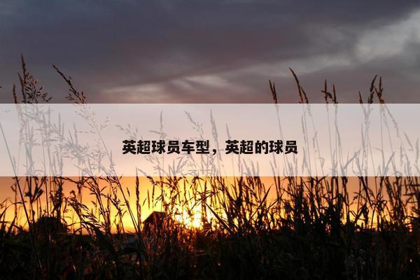 英超球员车型，英超的球员