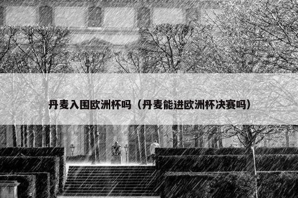 丹麦入围欧洲杯吗（丹麦能进欧洲杯决赛吗）