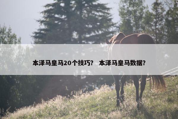 本泽马皇马20个技巧？ 本泽马皇马数据？