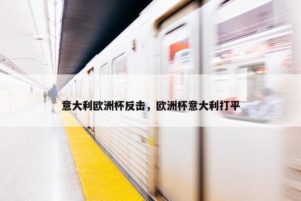 意大利欧洲杯反击，欧洲杯意大利打平