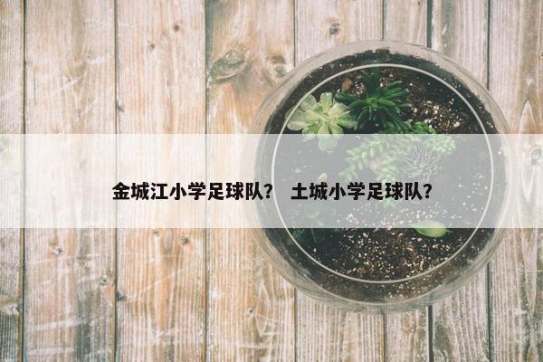 金城江小学足球队？ 土城小学足球队？