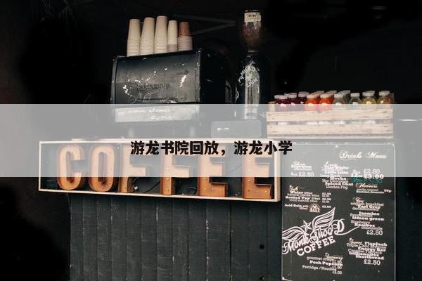 游龙书院回放，游龙小学