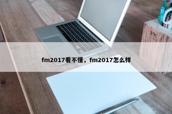 fm2017看不懂，fm2017怎么样