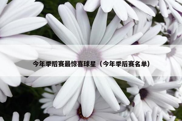 今年季后赛最惊喜球星（今年季后赛名单）