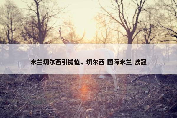 米兰切尔西引援值，切尔西 国际米兰 欧冠