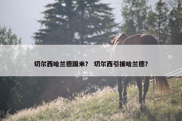 切尔西哈兰德国米？ 切尔西引援哈兰德？