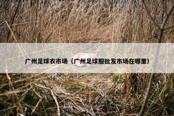 广州足球衣市场（广州足球服批发市场在哪里）