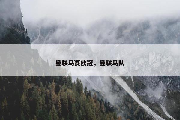 曼联马赛欧冠，曼联马队