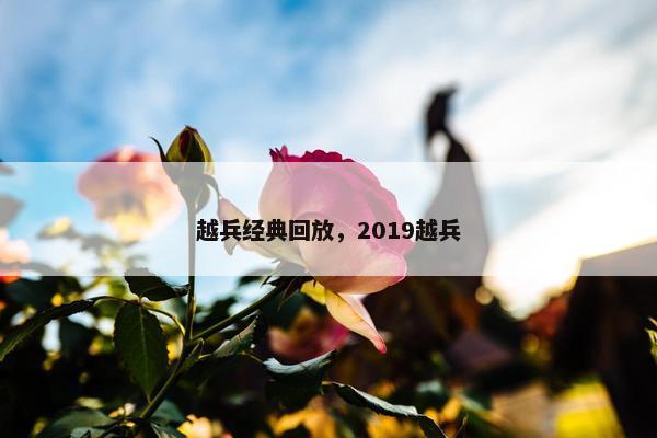 越兵经典回放，2019越兵