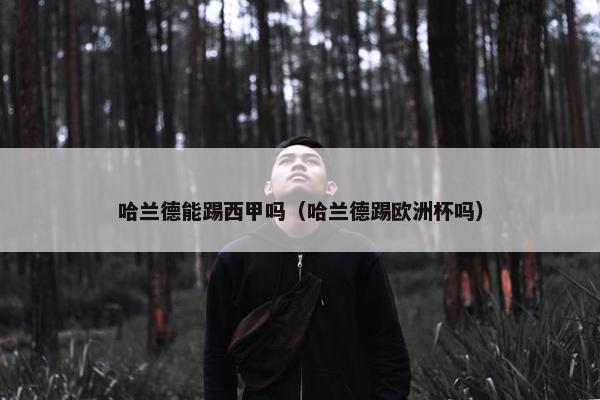 哈兰德能踢西甲吗（哈兰德踢欧洲杯吗）