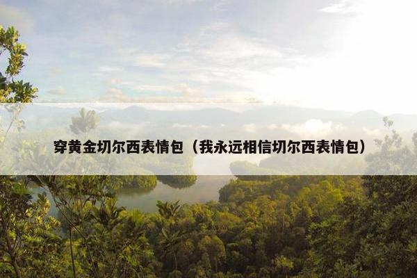 穿黄金切尔西表情包（我永远相信切尔西表情包）