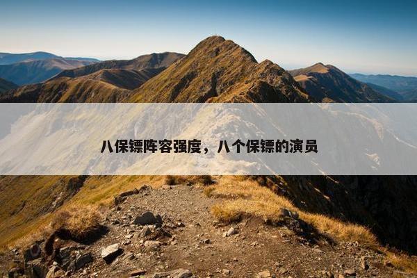 八保镖阵容强度，八个保镖的演员