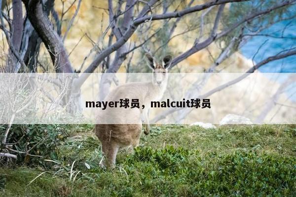 mayer球员，malcuit球员