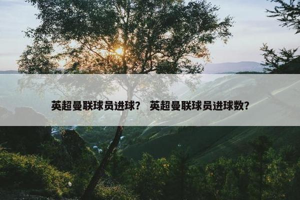 英超曼联球员进球？ 英超曼联球员进球数？