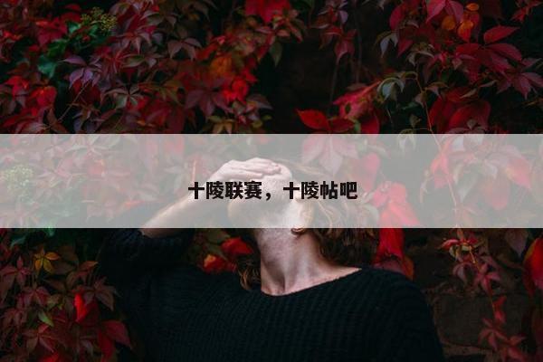 十陵联赛，十陵帖吧