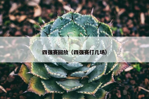 四强赛回放（四强赛打几场）