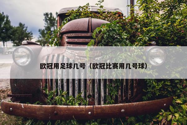 欧冠用足球几号（欧冠比赛用几号球）