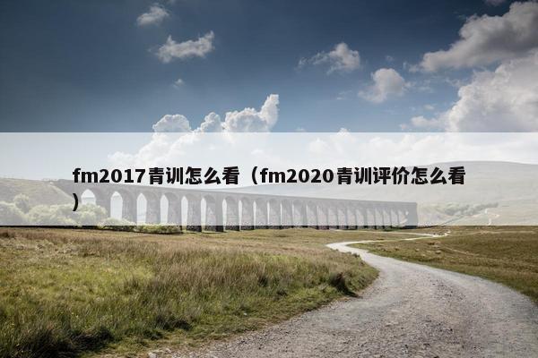 fm2017青训怎么看（fm2020青训评价怎么看）