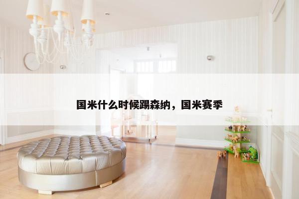 国米什么时候踢森纳，国米赛季