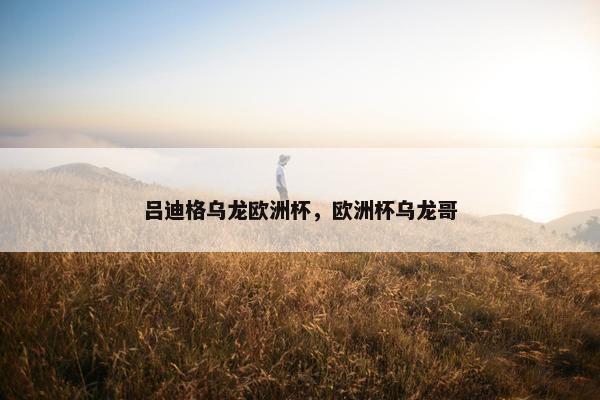 吕迪格乌龙欧洲杯，欧洲杯乌龙哥