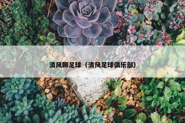 清风聊足球（清风足球俱乐部）