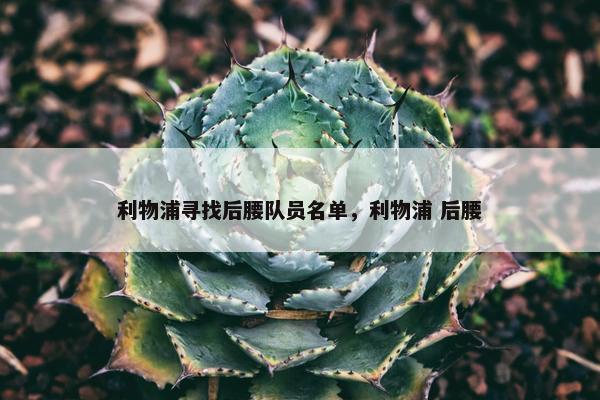 利物浦寻找后腰队员名单，利物浦 后腰
