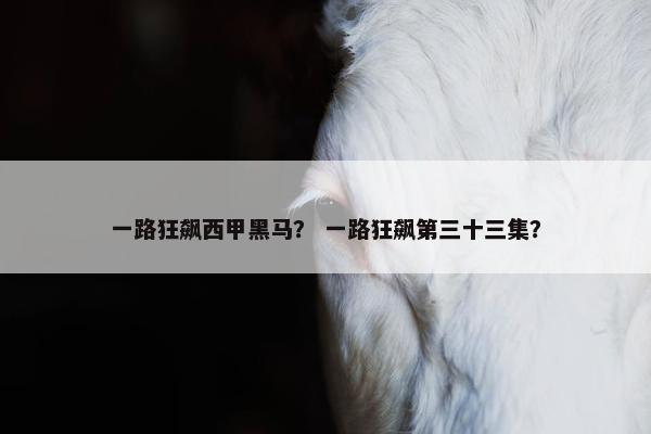 一路狂飙西甲黑马？ 一路狂飙第三十三集？