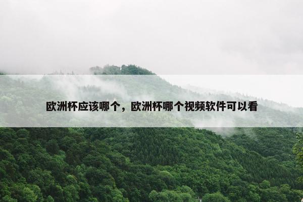 欧洲杯应该哪个，欧洲杯哪个视频软件可以看