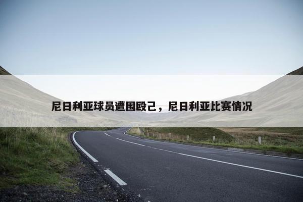 尼日利亚球员遭围殴己，尼日利亚比赛情况