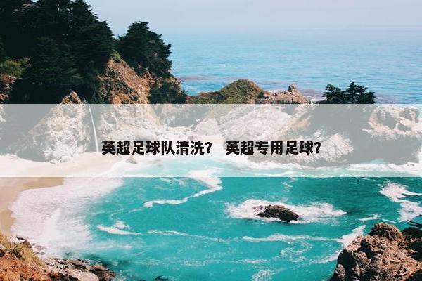 英超足球队清洗？ 英超专用足球？