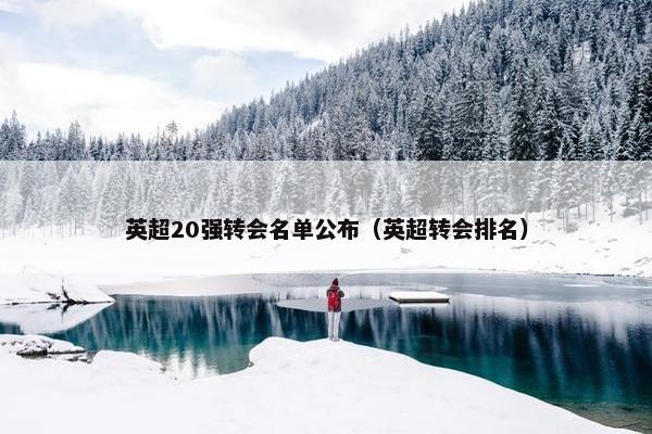 英超20强转会名单公布（英超转会排名）