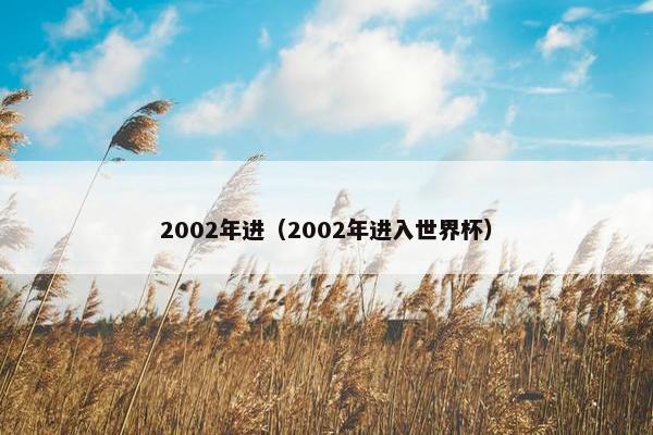 2002年进（2002年进入世界杯）