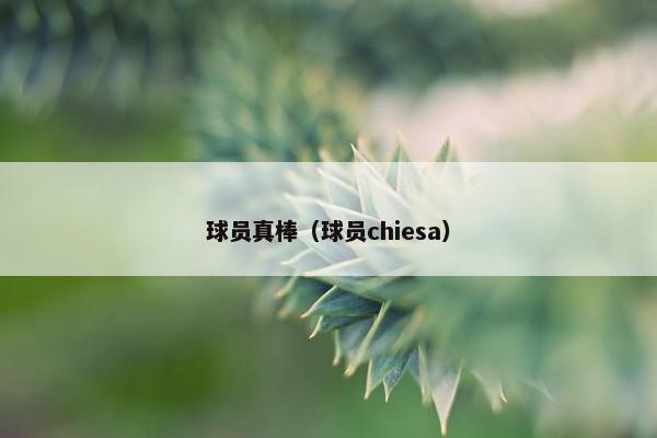 球员真棒（球员chiesa）