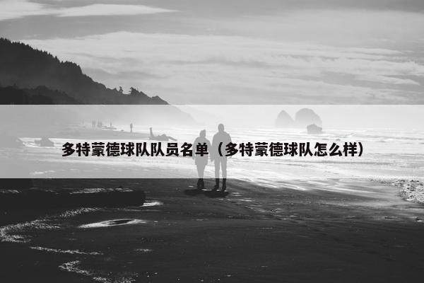 多特蒙德球队队员名单（多特蒙德球队怎么样）