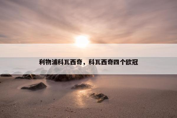 利物浦科瓦西奇，科瓦西奇四个欧冠