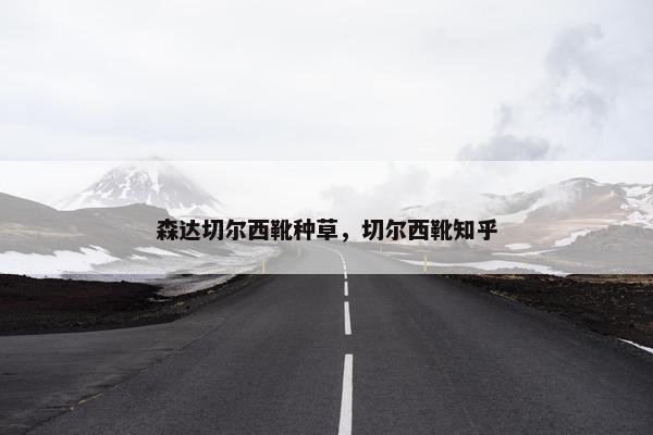 森达切尔西靴种草，切尔西靴知乎