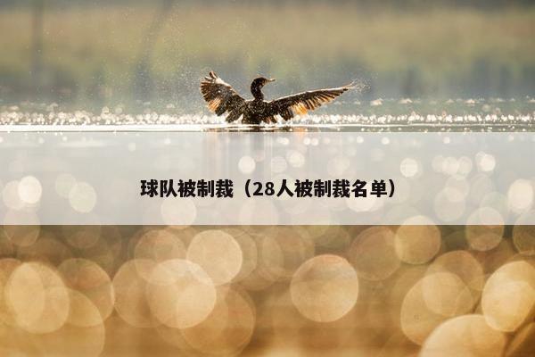 球队被制裁（28人被制裁名单）