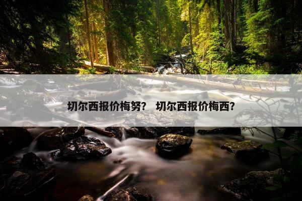 切尔西报价梅努？ 切尔西报价梅西？