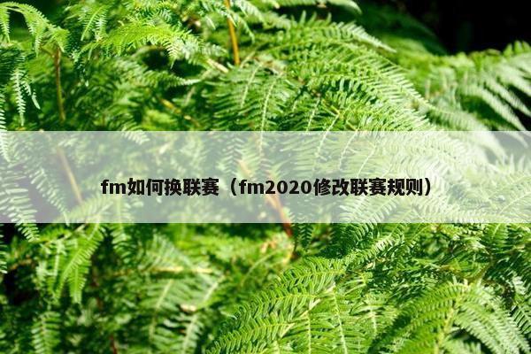 fm如何换联赛（fm2020修改联赛规则）