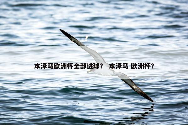 本泽马欧洲杯全部进球？ 本泽马 欧洲杯？